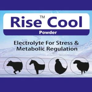 ise Cool Powder
