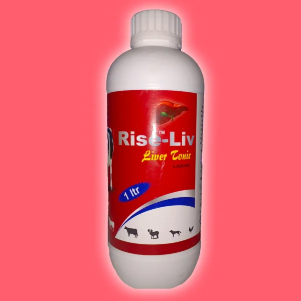 Rise-Liv Liver tonic Liquid